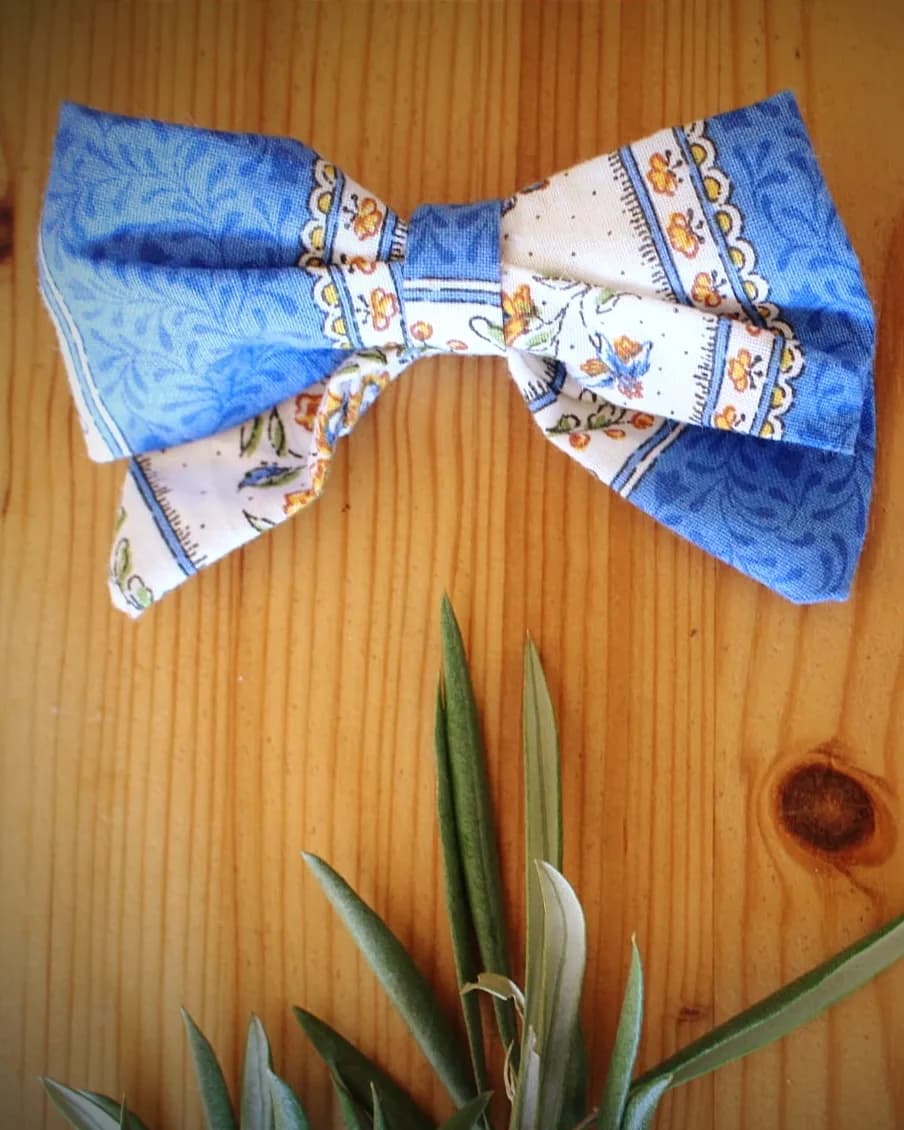 Grande barrette, Augustine